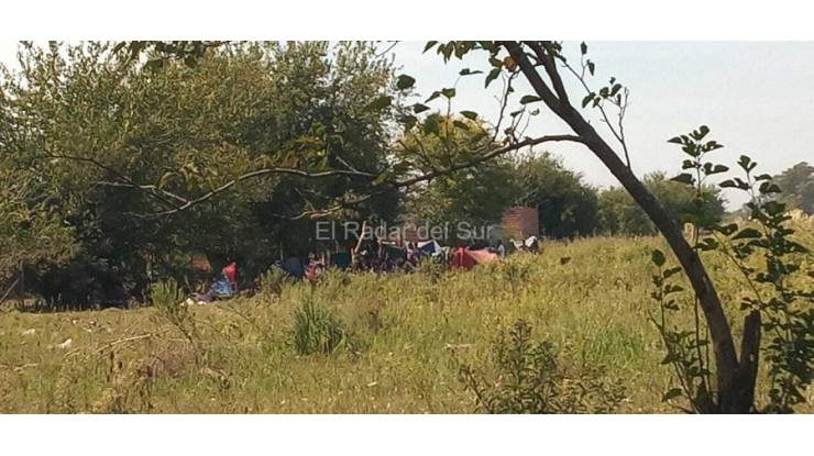 Grupo de malvivientes quieren tomar tierras